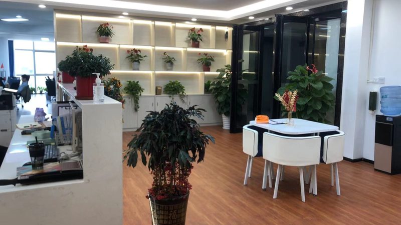 财务尽职调查报告模板：企业决策的坚实基石**